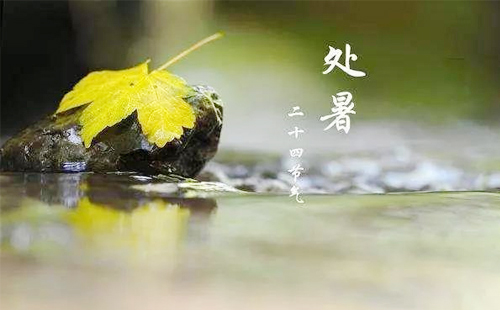 【处暑·环保新篇】